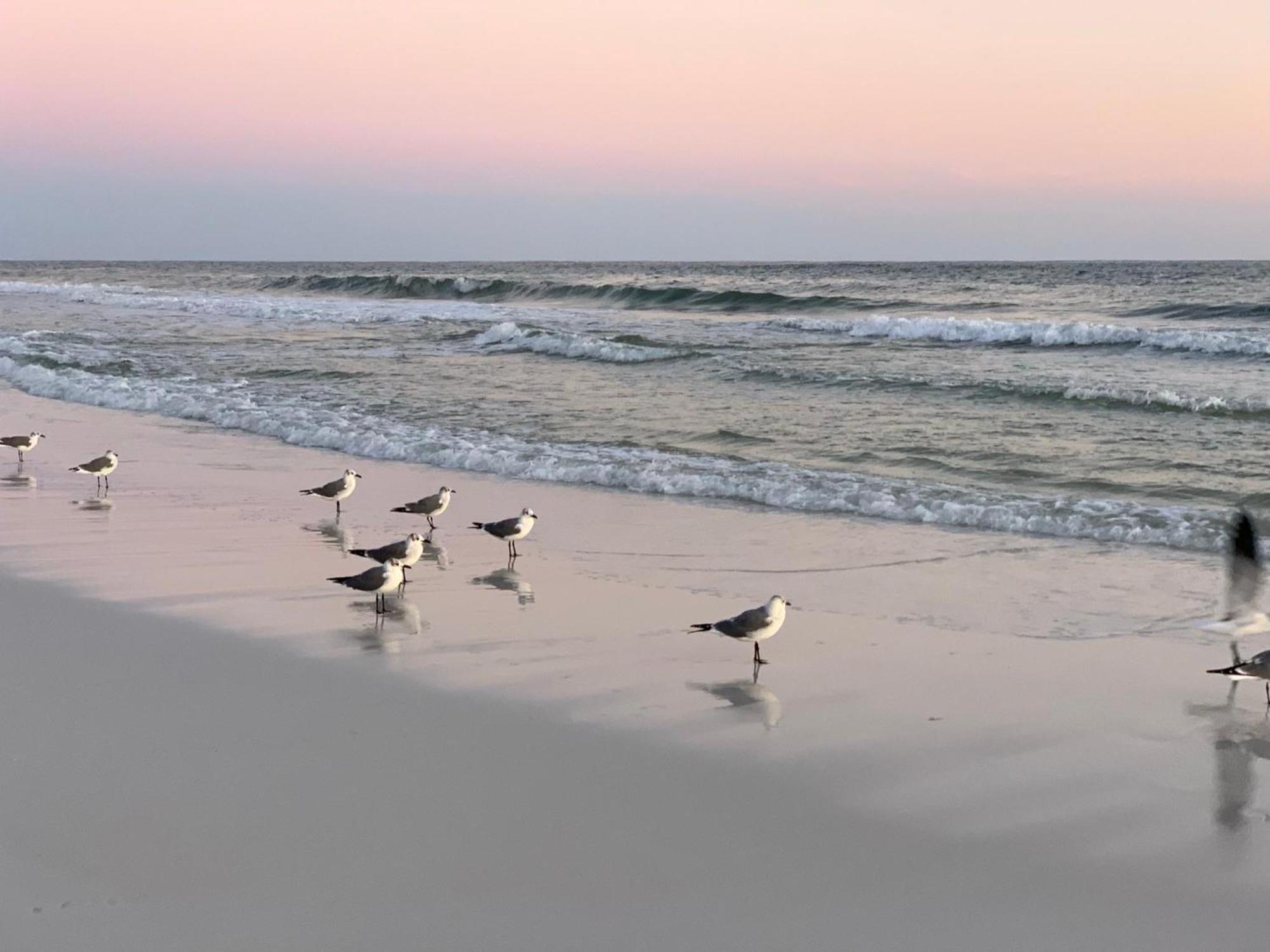 Nautilus 2408 Gulf View 2 Bedroom 4Th Floor Free Beach Service Fort Walton Beach Luaran gambar